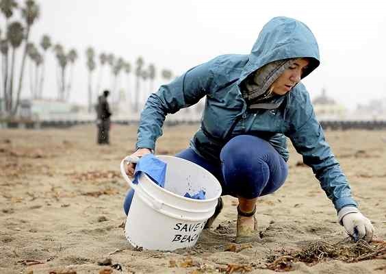 Haley Save Our Shores cleanup