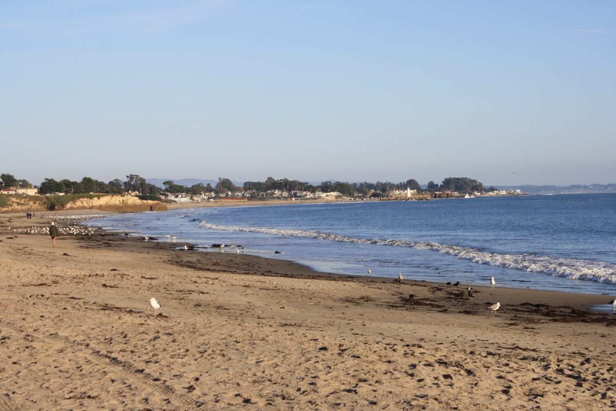 Save Our Shores CowellShay