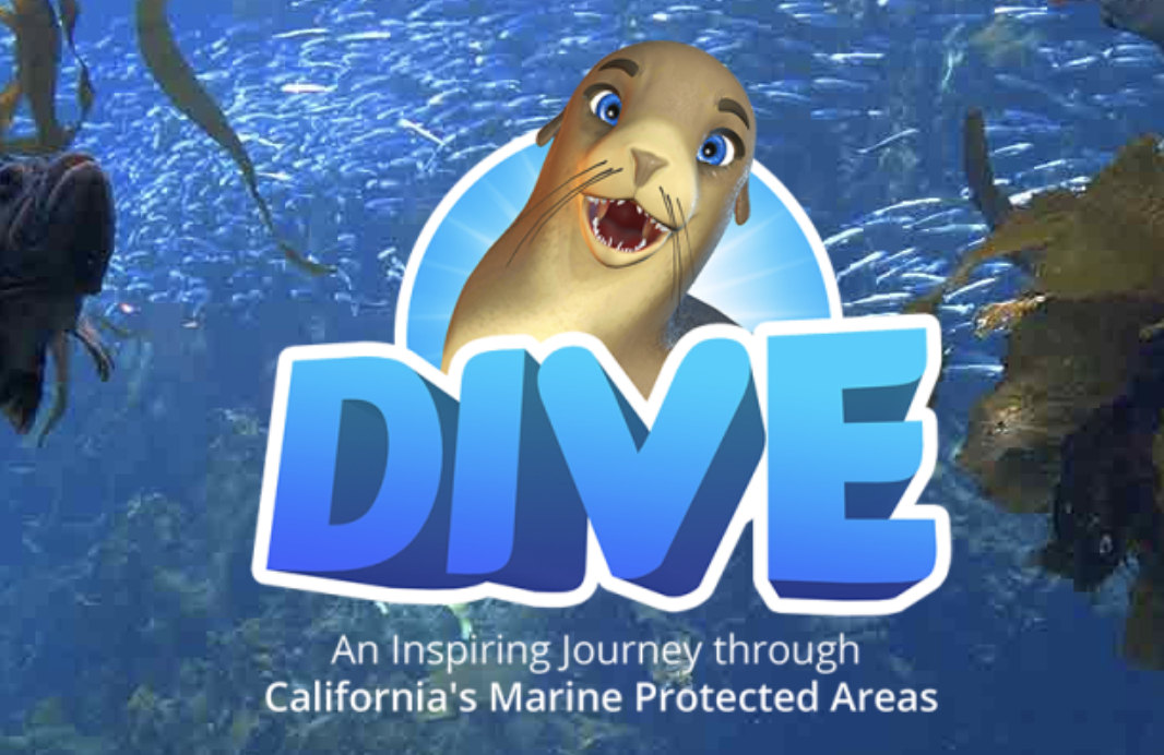 dive education program