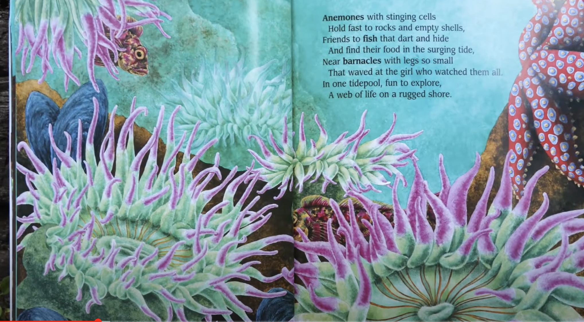 virtual learning education book reading activity