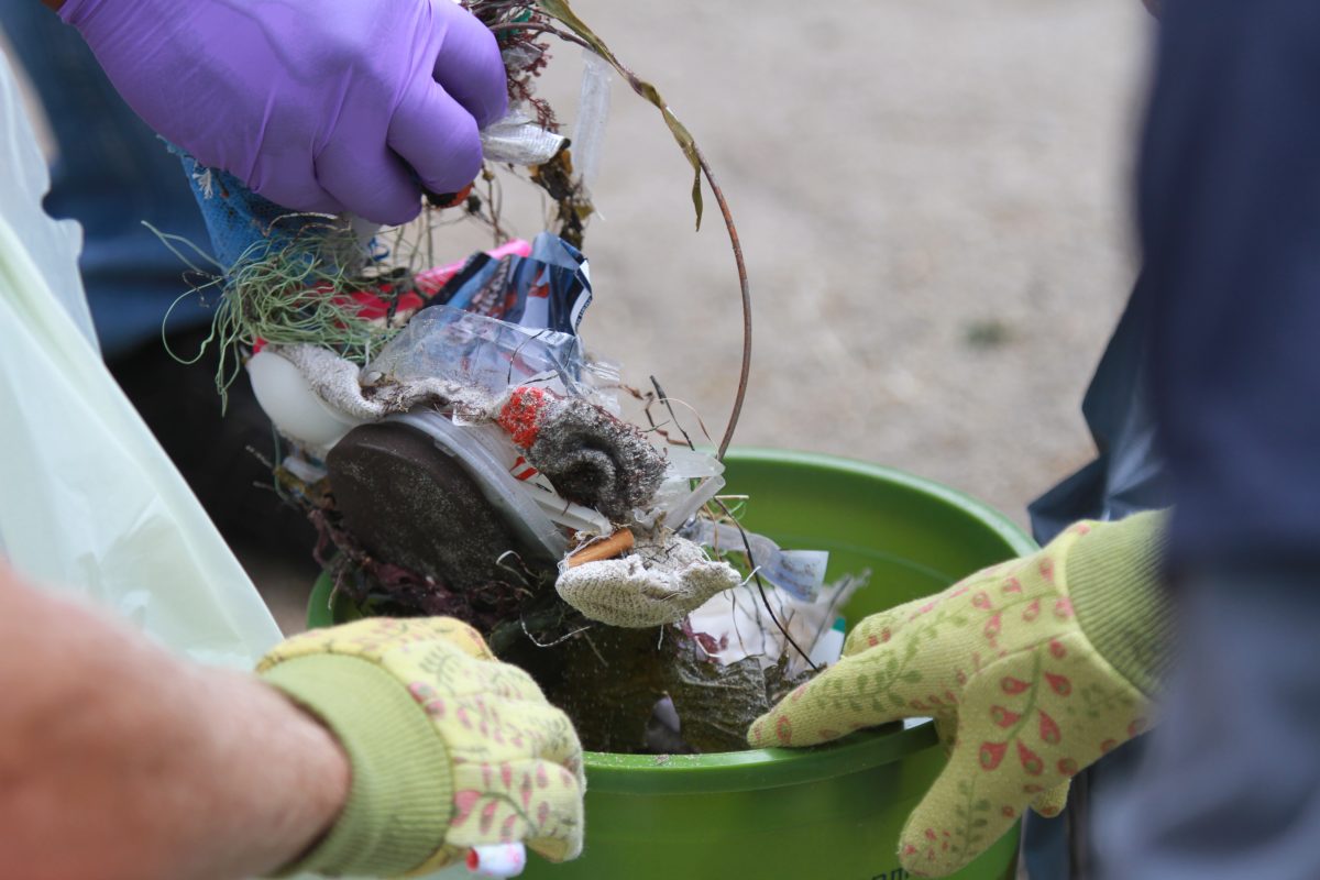 Trash-in-bucket.jpg Save Our SHores